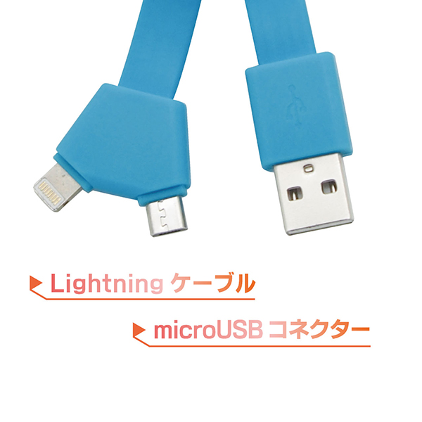 【POLICE】USBケーブルストラップの商品画像